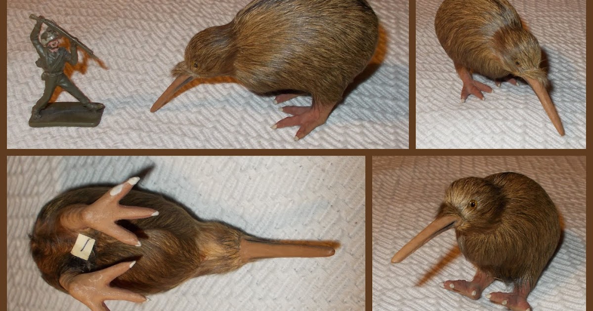 Small Scale World K is for Kiwis . . . these Kiwis don t fly